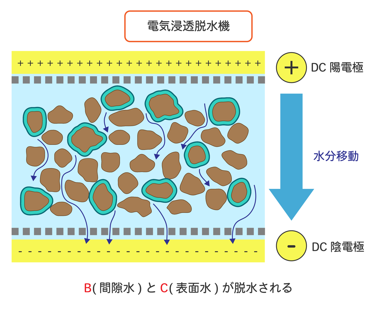 Nguyên lý điện thẩm thấu — dòng điện DC kéo nước ra khỏi bùn
