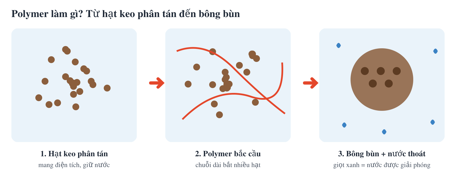 Cơ chế polymer tạo bông bùn