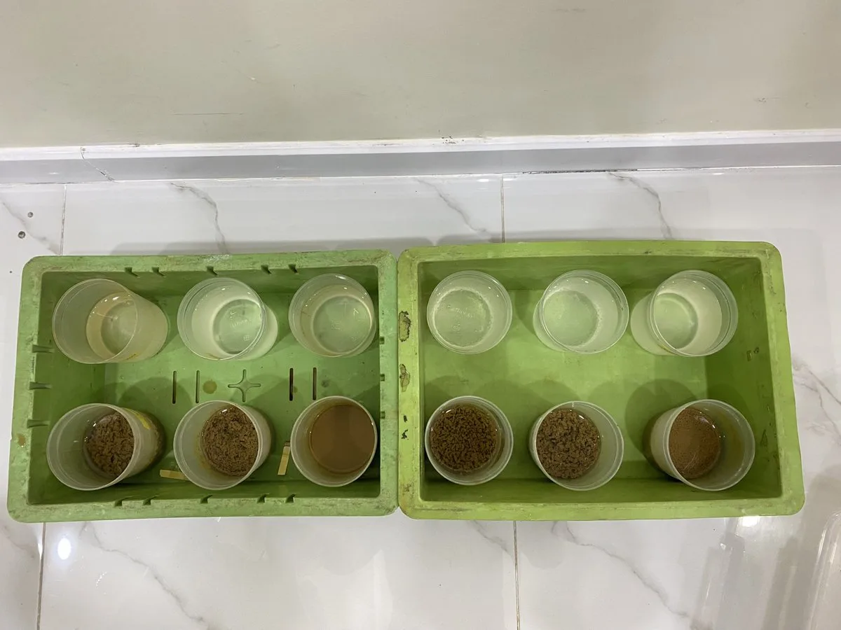 Jar test thử nhiều loại polymer với bùn nước thải thực phẩm